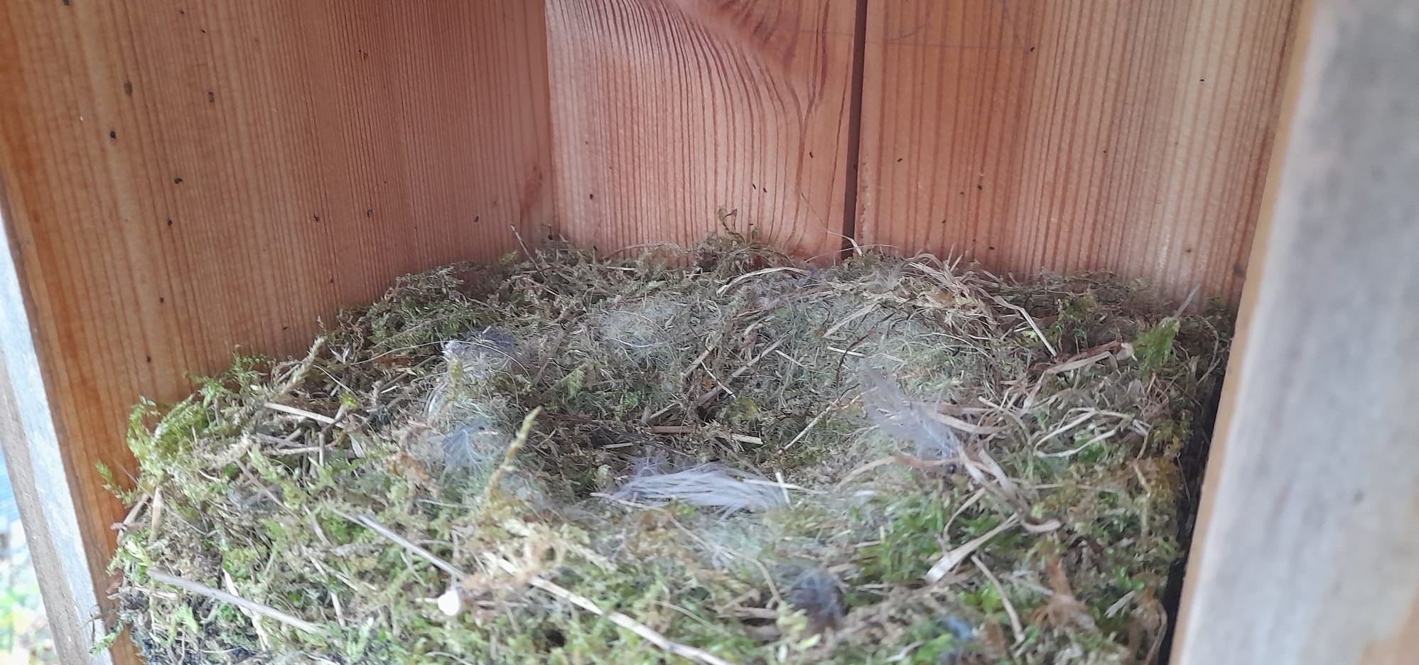 Ein schöner Garten will gepflegt werden!