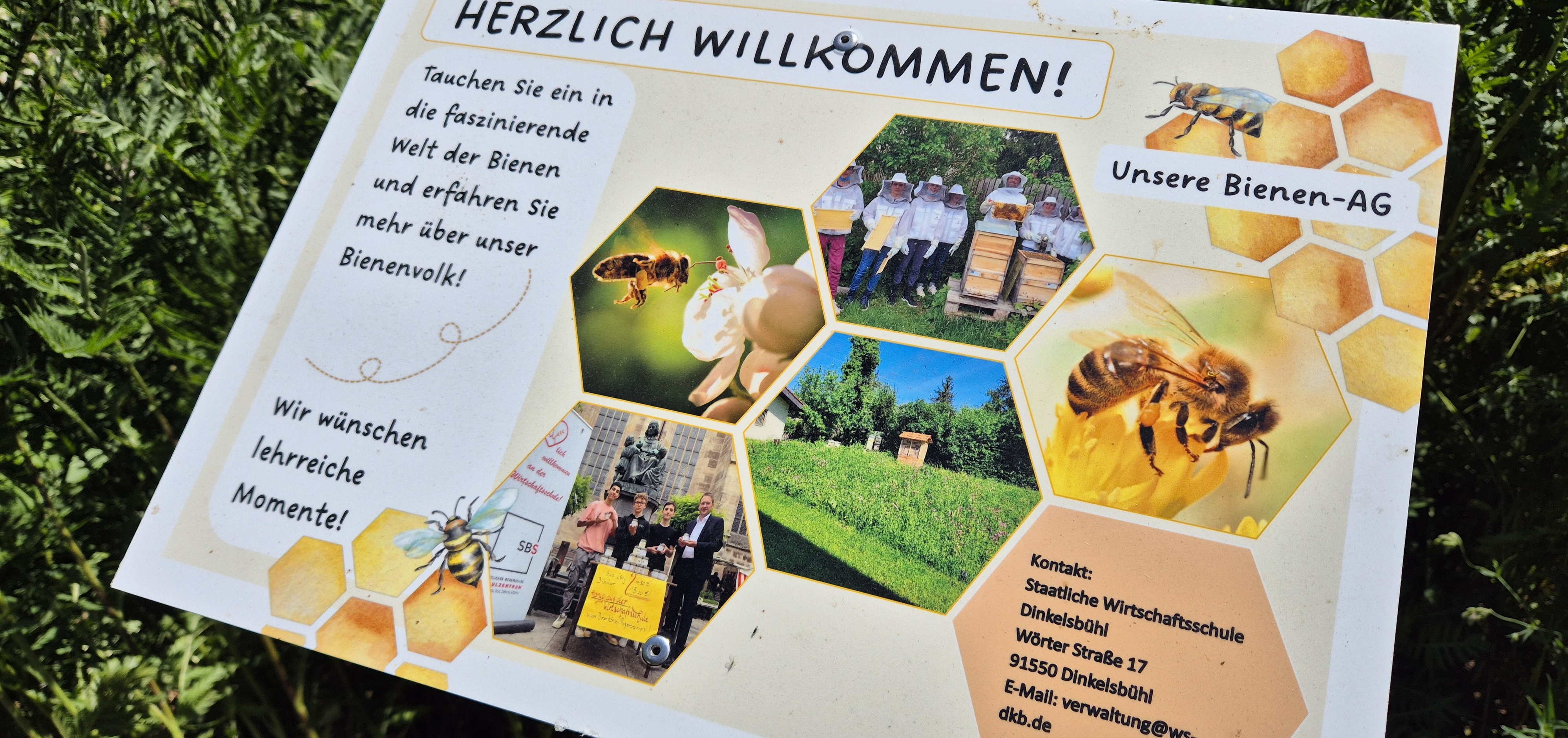 Ein summendes Klassenzimmer: Sechstklässler gestalten Bienenlehrpfad im Rahmen eines Schulprojekts