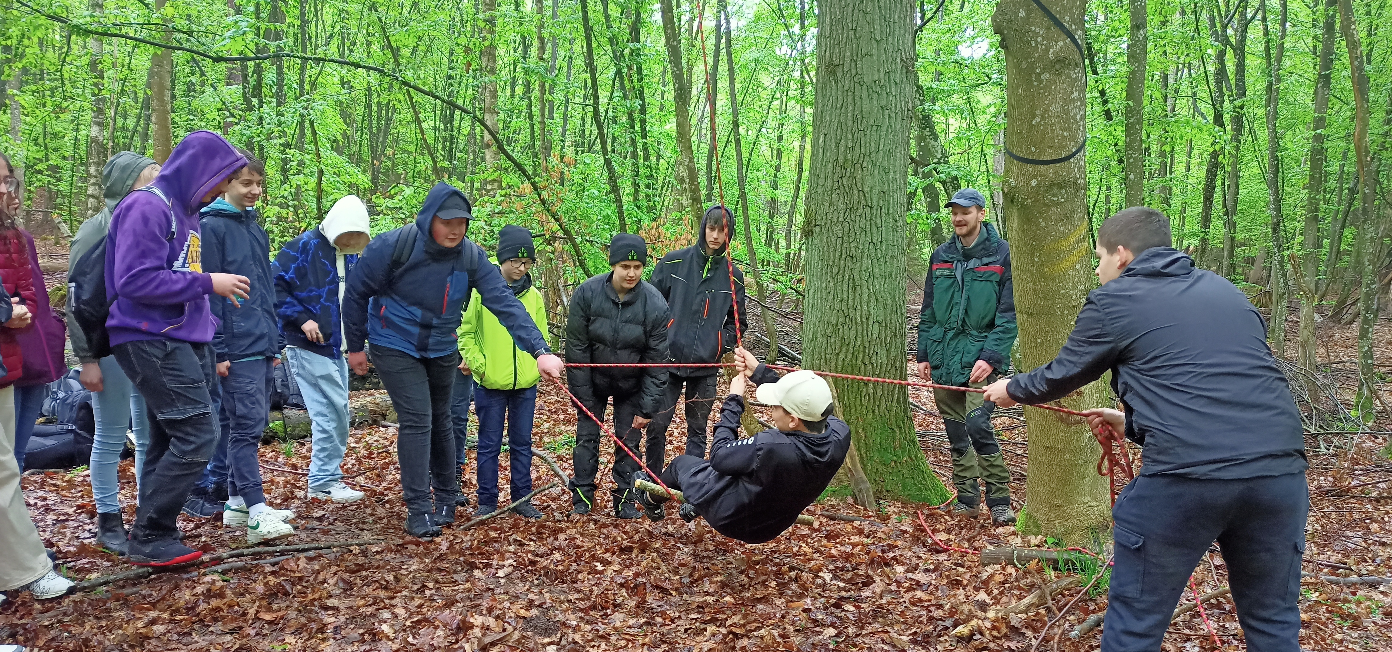 Der Wald als Ort mit vielen Funktionen