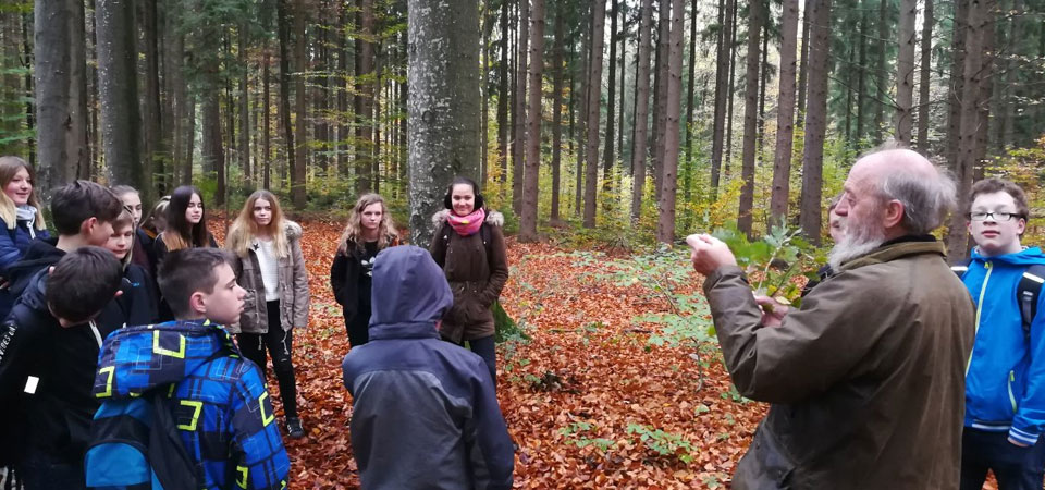 Der heimische Wald als außerschulischer Lernort